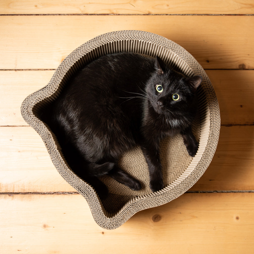 Necoichi – Cat-Headed Scratcher Bowl (Birch)