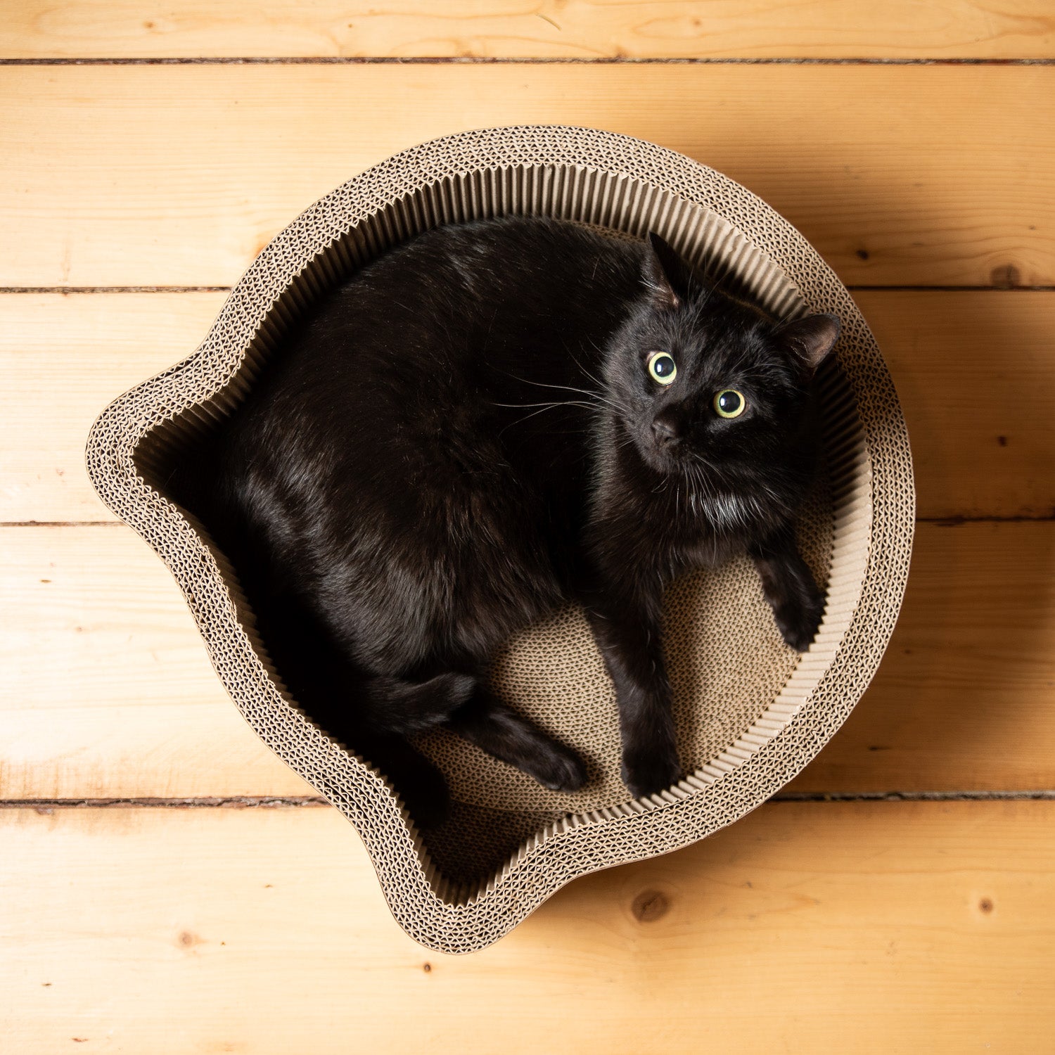 Necoichi – Cat-Headed Scratcher Bowl (Birch)